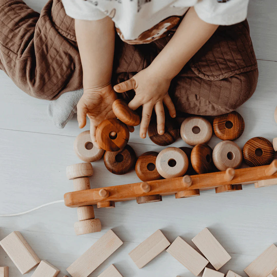 Wooden educational toys - learning from the first years of life