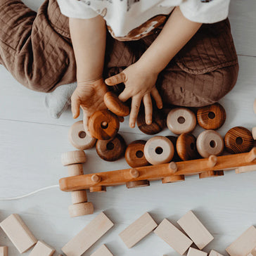 Wooden educational toys - learning from the first years of life