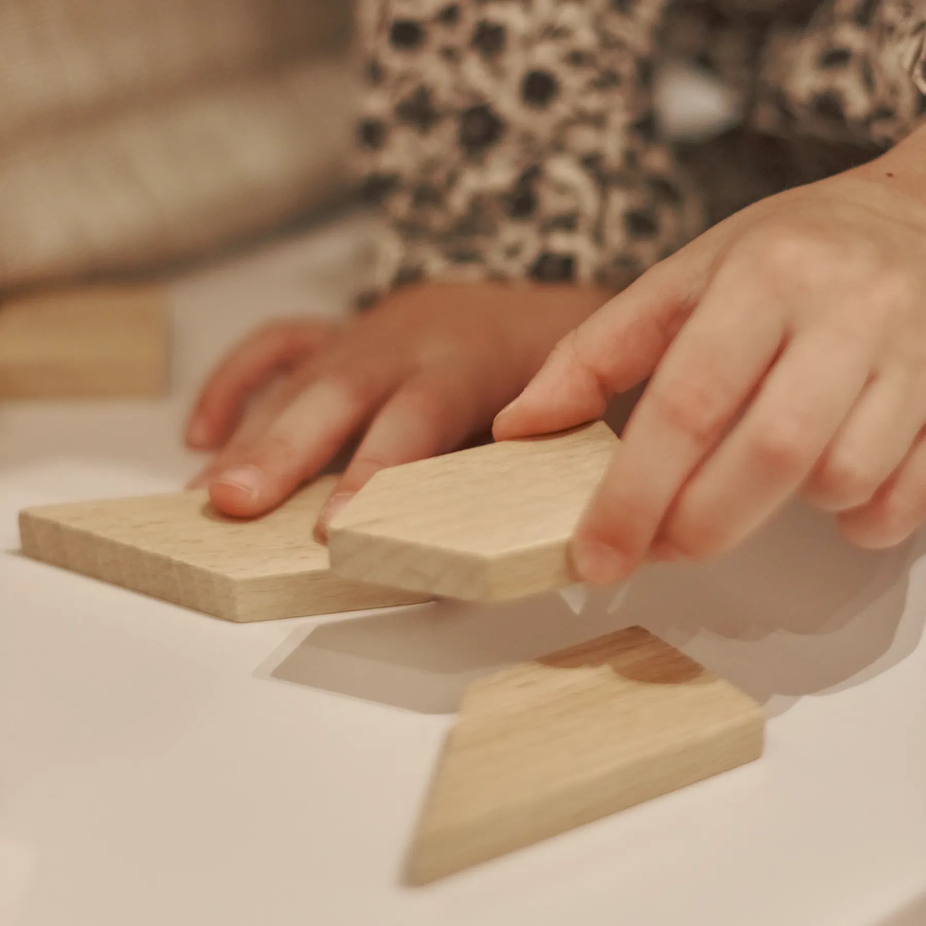 Wooden Tangram Puzzle