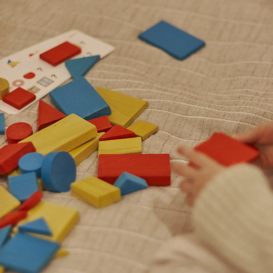 Dienes Logical Blocks 48 figures. Set with tasks