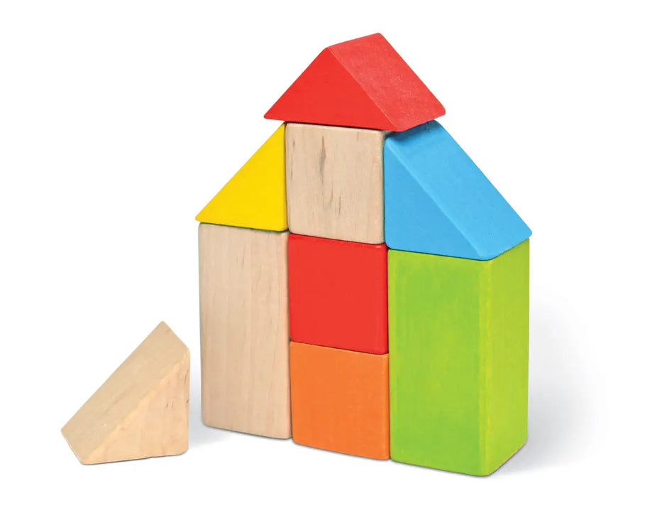 Developmental Wooden Blocks for Toddlers